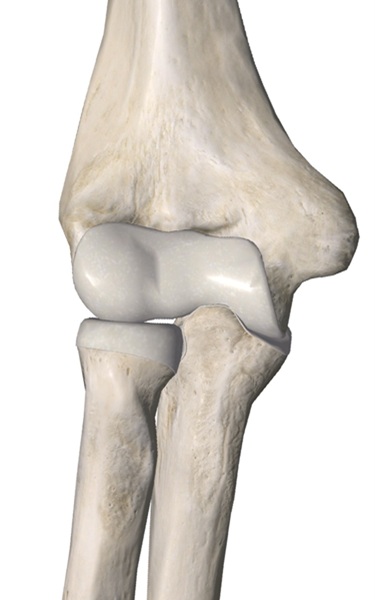 Elbow Joints